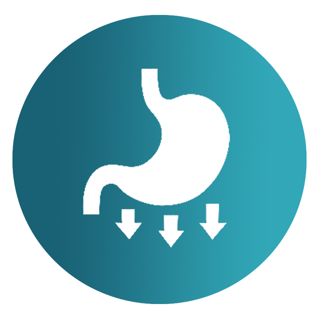 Verdauungsunterstützung